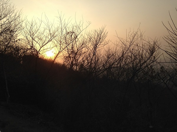 yuelu mtan
