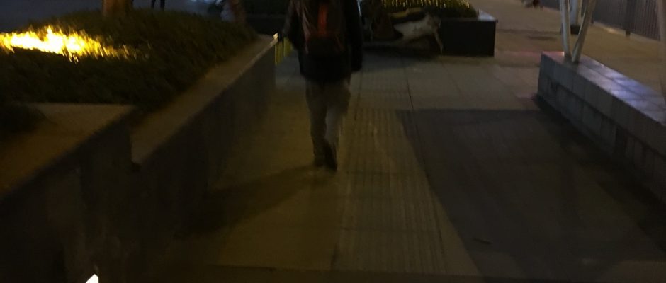 背影